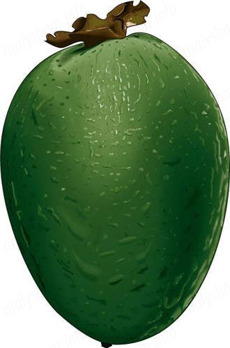 Можна фейхоа вагітним? Думки лікаря Можна фейхоа вагітним? Думки лікаря