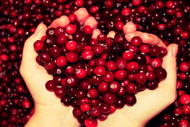 Чим корисна журавлина при вагітності