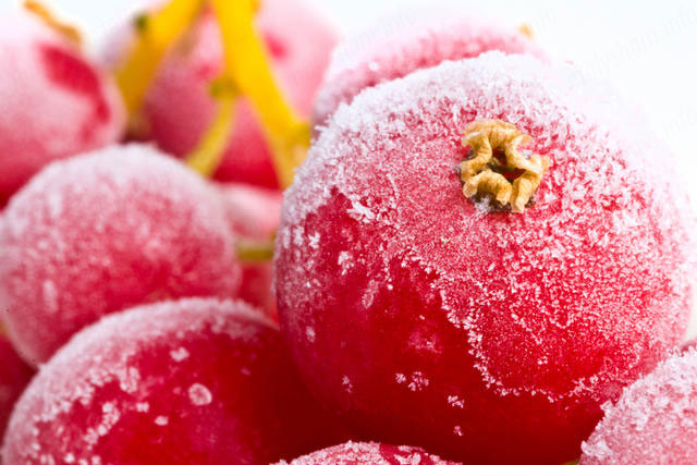 Чим корисна журавлина при вагітності