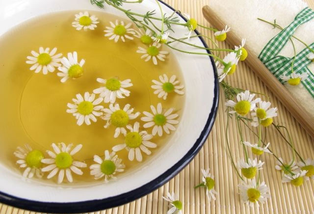 Ромашка при вагітності: чи можна пити, полоскати?