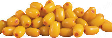 Цілюща обліпиха при вагітності Цілюща обліпиха при вагітності