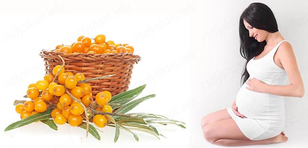 Цілюща обліпиха при вагітності Цілюща обліпиха при вагітності