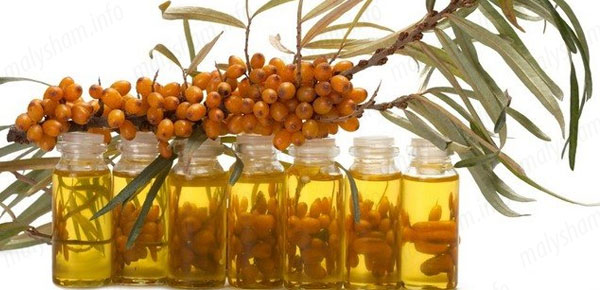 Цілюща обліпиха при вагітності Цілюща обліпиха при вагітності