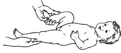 Методика масажу і гімнастики у віці 4-6 місяців