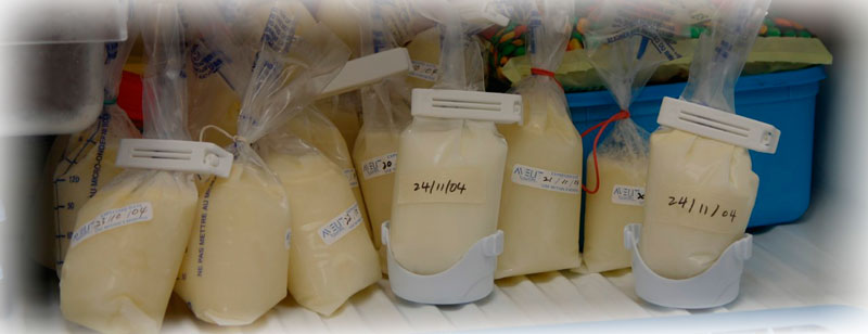 Правильне зціджування і зберігання грудного молока