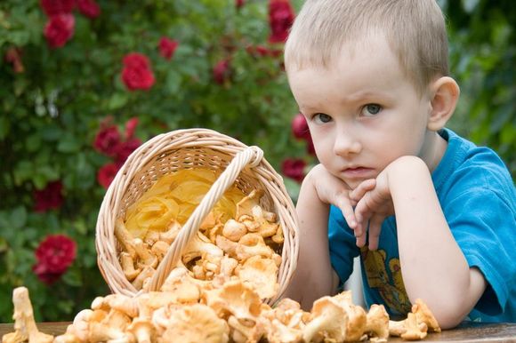 Чи можна дітям їсти гриби