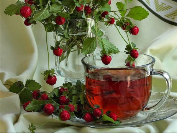 Можна суницю при грудному вигодовуванні