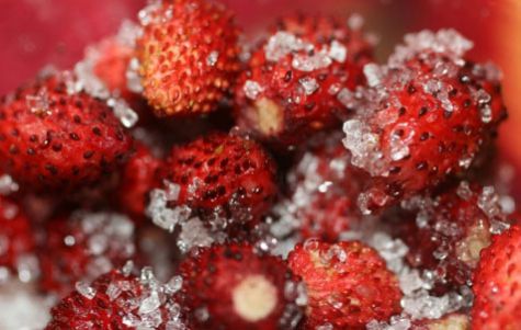 Можна суницю при грудному вигодовуванні