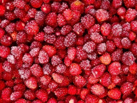 Можна суницю при грудному вигодовуванні